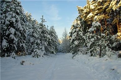 《GTA6》首发没有PC 国外有玩家称将选择盗版